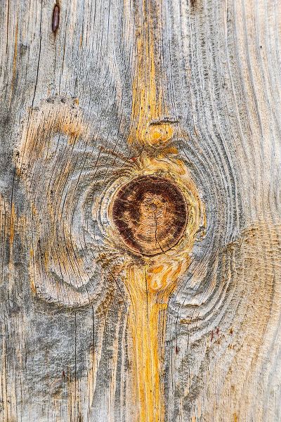Wilson, Emily M. 아티스트의 Latah-Washington State-USA-Knot in weathered wood on an old barn작품입니다.